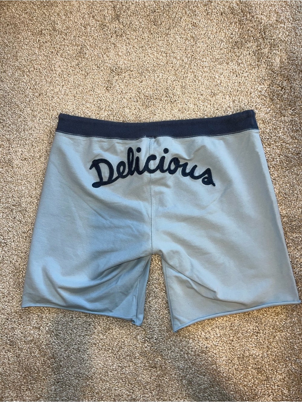 Vintage Lucky Brand Y2K Delicious Lounge Shorts Baby Blue Retro
